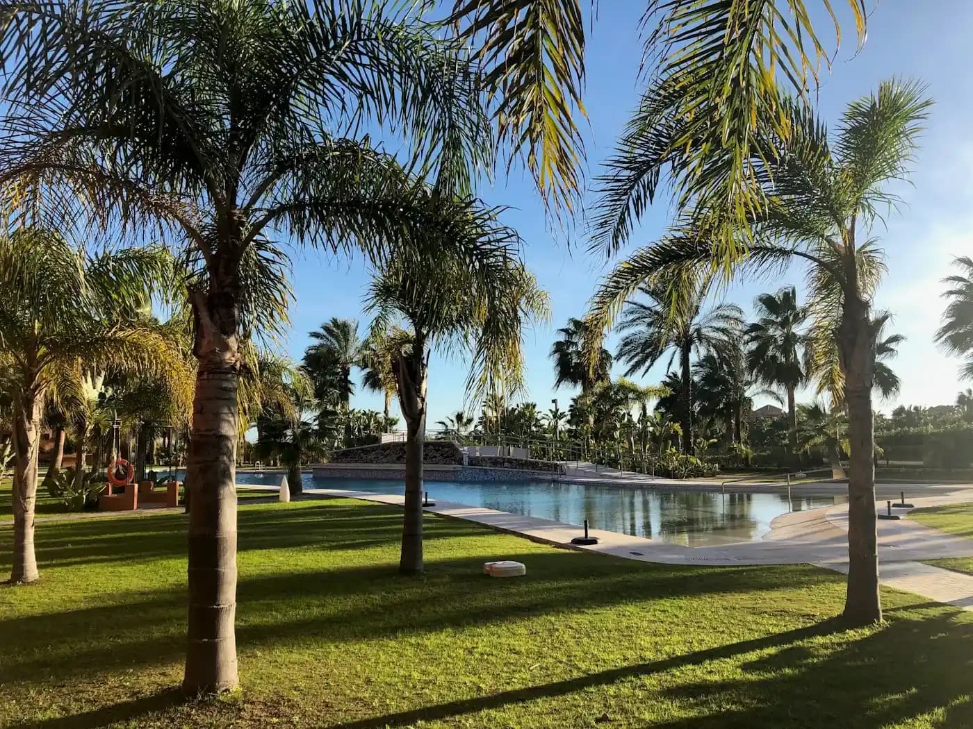 Jardim gramado com palmeiras e sombras de fim de tarde, com a piscina do condomínio ao fundo